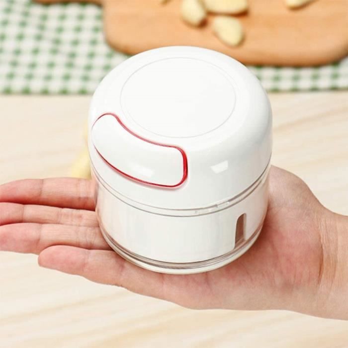 Tsuboe Râpe Japonaise à Wasabi Yuzu Ail Gingembre Agrumes Taille S Acier Inoxydable