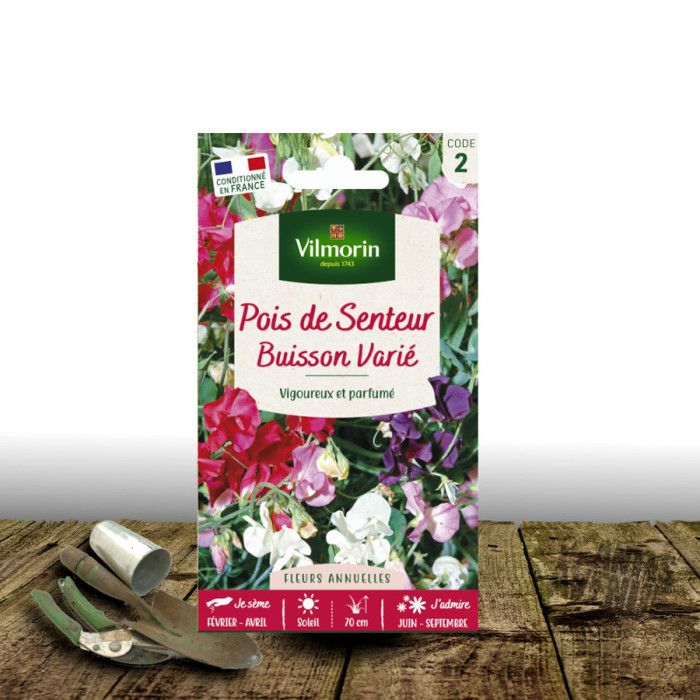 Graines de Pois de senteur Buisson Varié Vilmorin Cdiscount Jardin — free download