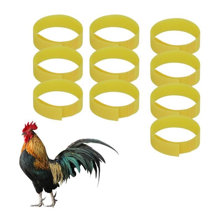 Lot de 10 Tour de cou de coq anti-crochet Colliers de coq anti-crochets sans bruit pour empêcher les poulets de crier-GUE