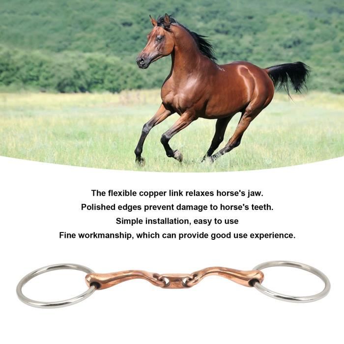 Embout à Bouche De Cheval En Acier Inoxydable Avec Caoutchouc - Taille Moyenne - Antirouille