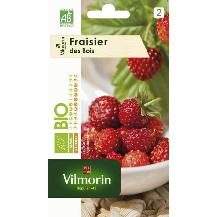 VILMORIN Graines de fraisier des bois