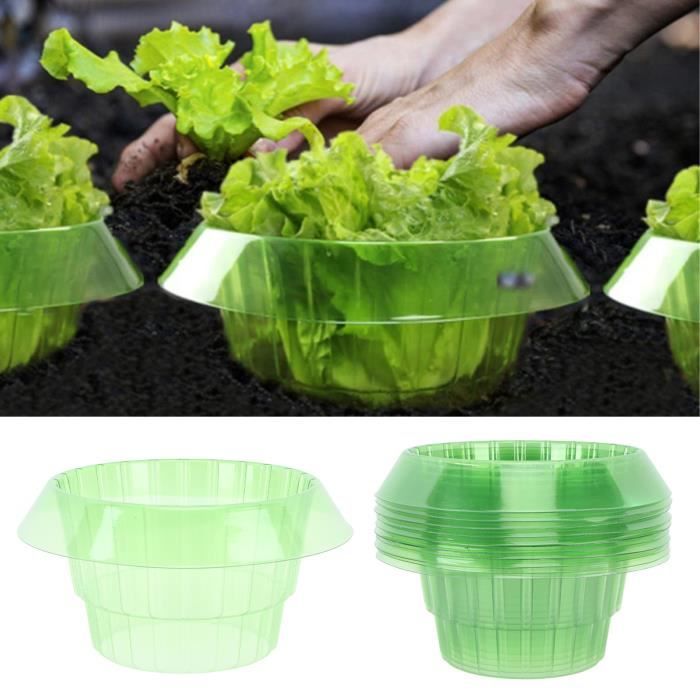 BEA Cloche à salades 10pcs serre de protection pour plants HB058
