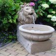 Fontaine de jardin - UBBINK - Acqua Arte Basel 1387068 - Tête de lion effet grès - Polyresine - Beige-1