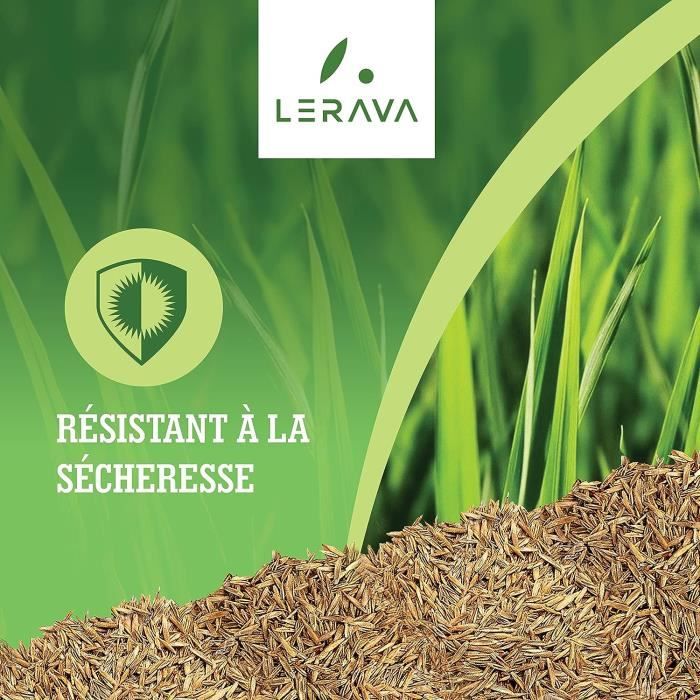 Champion Gazon A Semer Résistant À La Sécheresse Gazon Regarnissage — free download