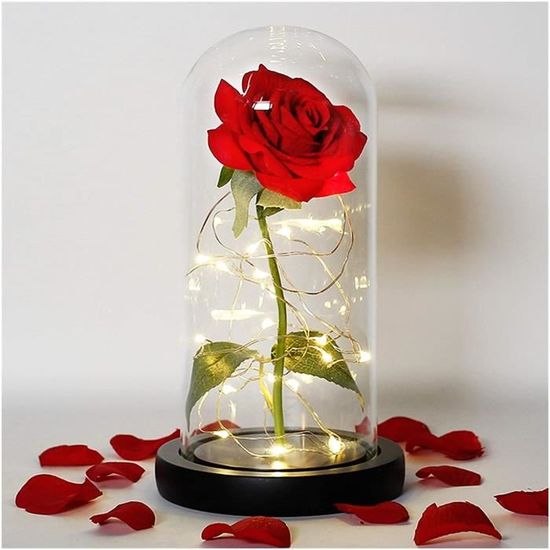 Rose éTernelle Beauté et la Rose Rose dans Le dôme de Verre pour Toujours Rose  Rose Rose Jour Jour Cadeau Romantique spécial R[741] - Cdiscount Maison
