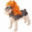 Mode Animal De Compagnie Punk Chien Chat Perruque Hat Dx1904