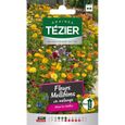 Tezier - Fleurs mellifères en mélange -- Fleurs annuelles - Sachet Fleurs - Fleurs annuelles à utiliser sur ROCAILLES et MASSIFS-0