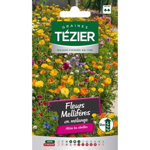 GRAINE - SEMENCE Tezier - Fleurs mellifères en mélange -- Fleurs annuelles - Sachet Fleurs - Fleurs annuelles à utiliser sur ROCAILLES et MASSIFS