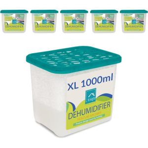DÉSHUMIDIFICATEUR Ensemble de déshumidificateur d'intérieur de 1 000 ml - absorbe 1 litre d'humidité et prévient les moisissures et les champig[c669]