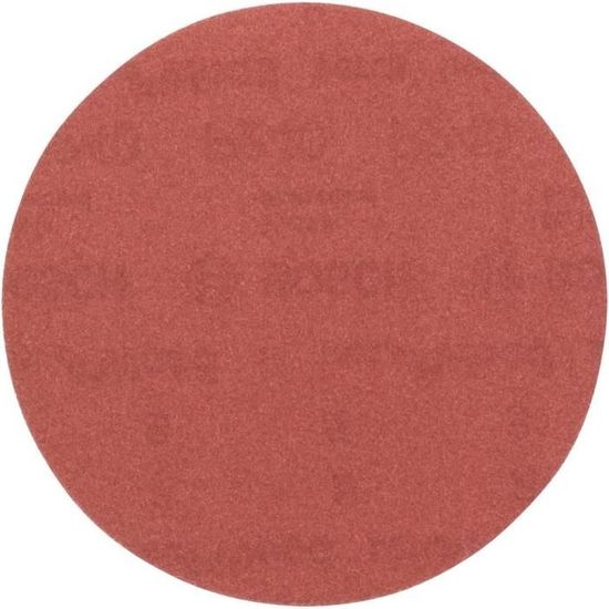 Lot De 10 Disques Abrasifs à Lamelles WERCKMANN - Grain A60 - Diamètre 115 Mm - Neuf - Fabriqué Aux Pays-Bas