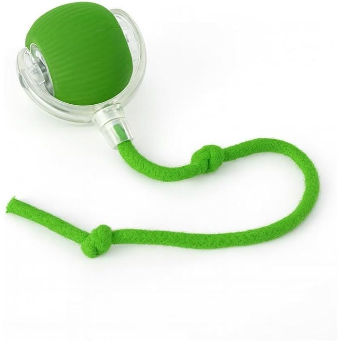Jouet interactif pour chat à mâcher – Balle automatique avec longue corde verte jouet stimulant Jouet interactif pour chat à mâcher – Balle automatique avec longue corde verte jouet stimulant
