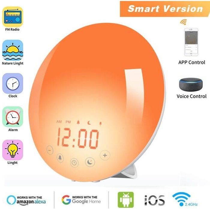  R&eacute;veil Lumineux Simulateur dAube et Cr&eacute;puscule 7 Color Lights Radio FM Double Alarme Fonction Snooze Veilleuse 