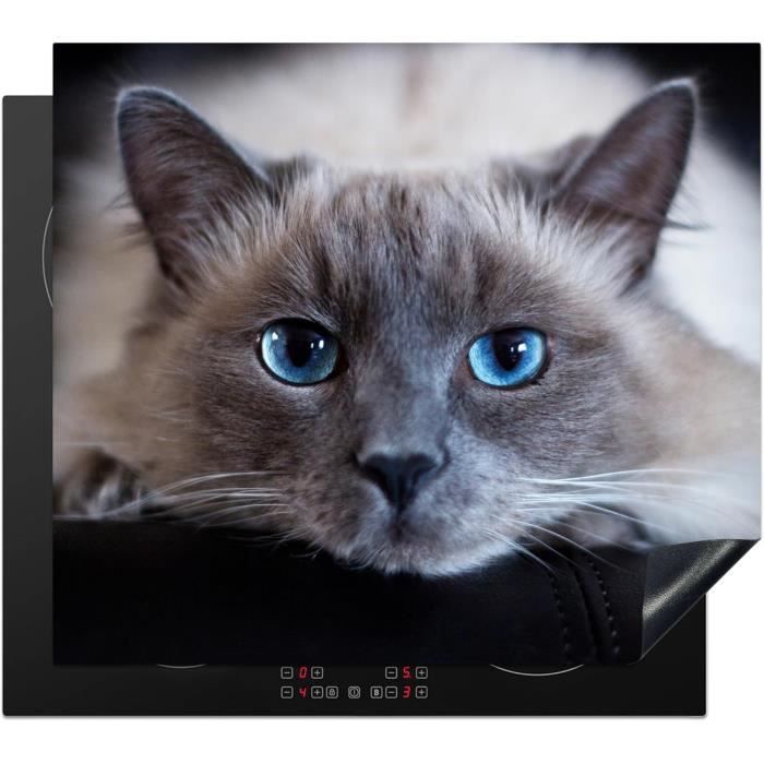 Tapis De Protection Pour Plaque à Induction TMK Protege - 60x52 Cm Motif Montagnes - Anti-rayures Et Antidérapant