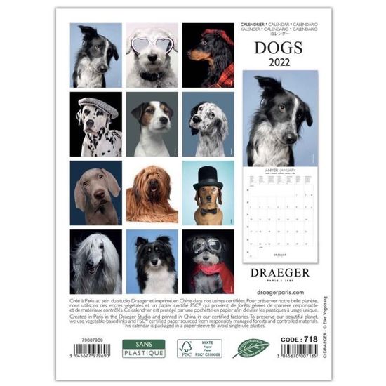 Petit Calendrier Mural Chiens - 2022 - Draeger Paris - Cdiscount 