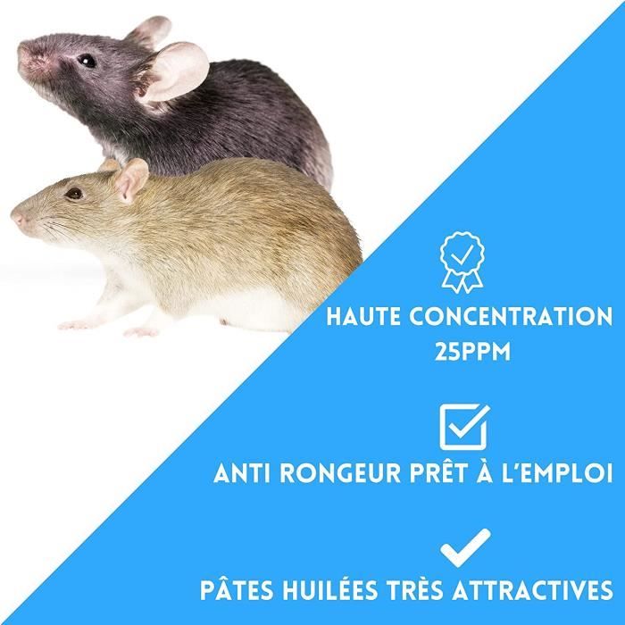 Raticide/Souricide Souris et Rats – Mort aux Rats Puissant pour intérieur  et extérieur