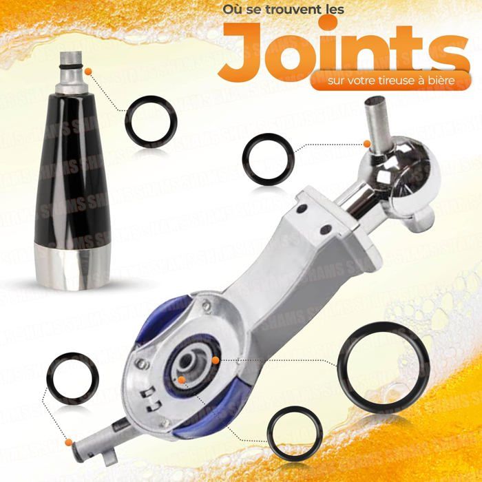 Kit Guarnizioni Per Perfect Draft HD3600 HD3610 HD3620 HD3720 – O-Ring E Dichtung – Made In Germany
