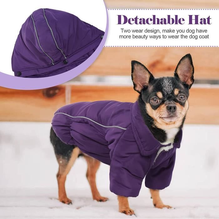 Costume - ensemble,vêtements pour petits chiens,accessoires pour