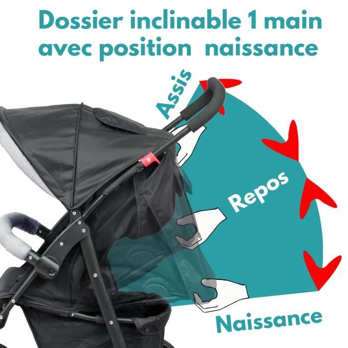 Bambisol Poussette 2 en 1 avec Cosy