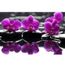 Tableau 5d De Broderie Diamant A Faire Soi Meme Pour Decoration