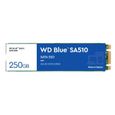 WD Blue™ SA510 - 250 Go - M.2 SATA SSD-0
