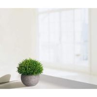 Oomom 3Pcs Plantes Grasses Artificielles Succulentes Vertes Mini Balle Pot Maison Jardin Table Décoration