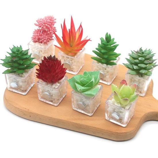 AIMANT Lot de 8 Frigo Cactus 3D Frigo plantes succulentes