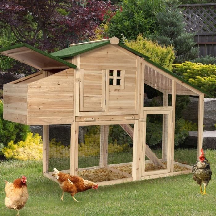 Quelle Est La Hauteur Pour Un Pondoir à Poule Poulailler Bois Avec Pondoir 172 X 110 X 64 Cm Achat Vente Poulailler Poulailler Bois Avec Pondoir Cdiscount
