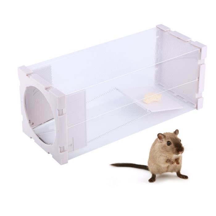 Qiilu Prise dappât Cage de piège à rat sans cruauté Animal vivant Rongeur Souris Contrôle de la souris Appât Attraper