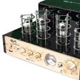 Amplificateur à tube, Evidence Acoustics EA-50TUBE-BT stéréo 2 x 25W rms, Vintage à lampes-2