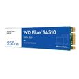 WD Blue™ SA510 - 250 Go - M.2 SATA SSD-2