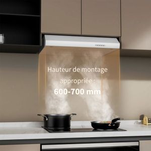 Hotte Aspirante Efficacité 1000 M³/h - Bartscher 257120