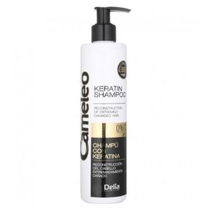SHAMPOING Delia Cosmetics Cameleo BB Shampoing cheveux abîmés - 250 ml