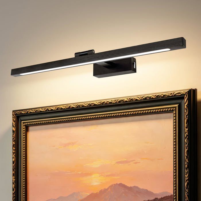 LED Température de Couleur Réglable Applique Murale pour Tableaux et Vitrines 60CM 12W Noir Brossée Lampes de Lecture Miroir de V