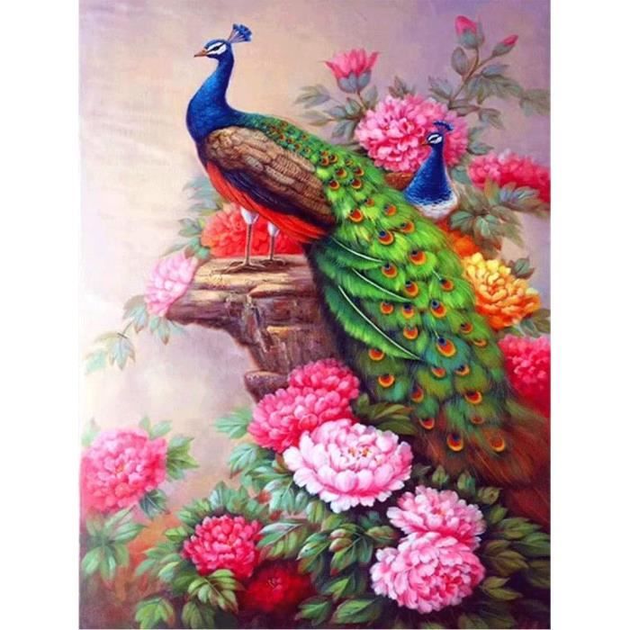 Peafowl paix - peinture complète en diamant - 80x30cm