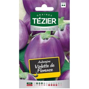Mini graines naturelles de légumes frais pour balcon 1 sac de graines de fleurs et de fruits pour aubergine Violet