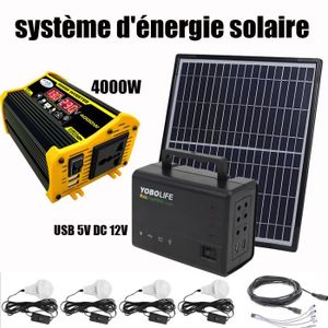 Acheter Onduleur solaire 4000 W/6000 W avec affichage de la capacité de  tension, convertisseur 12 V vers 110/220 V, double USB pour appareils  solaires