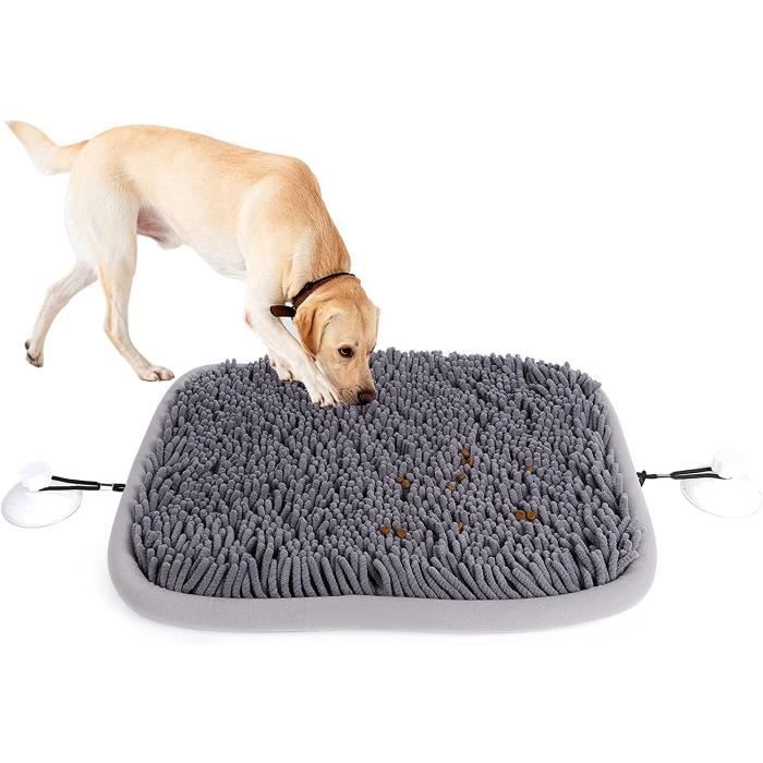 tapis intelligence chien