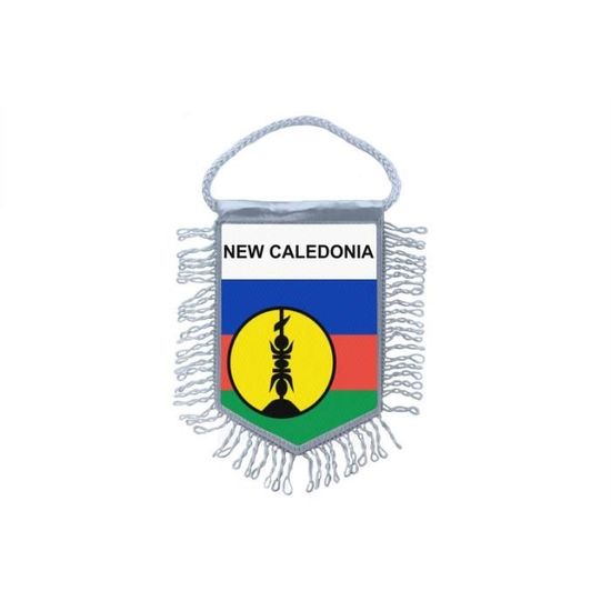 Drapeau Fanion Cameroun – 15 X 10 Cm – Polyester – Imprimé Recto Verso – Pour Voiture, Décoration, Support