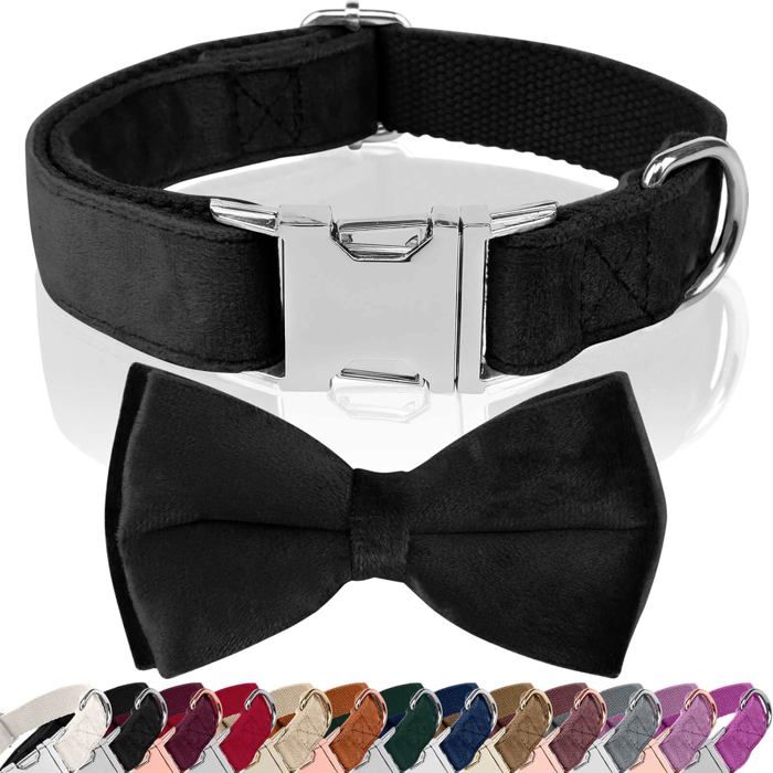 Collier Chien Personnalisé Brodé - Nom Et Téléphone - 5 Tailles XS à XL - Nylon Réfléchissant - Fermoir Rapide