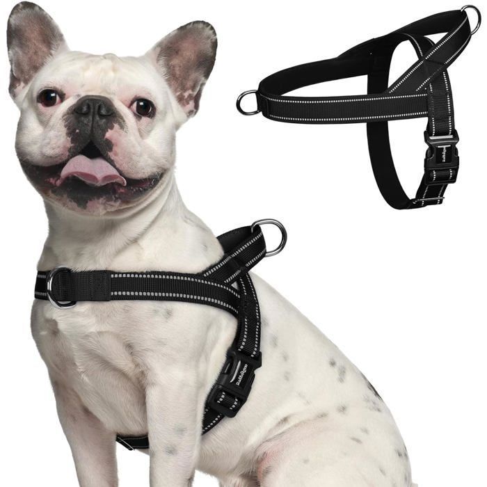 Comparer les prix de rabbitgoo Harnais Chien Anti Traction harnais pour petit chien Facile à Mettre Harnais Réglable avec Attache Devant S Noir