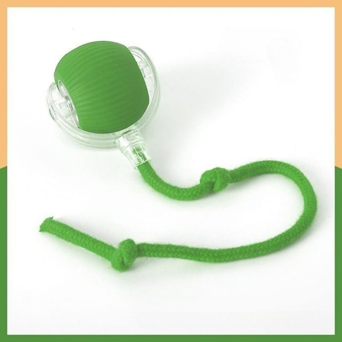 Meilleurs prix pour ®RisingFF Balle anti-morsure pour chat (avec corde) - Dispositif de saut auto-divertissant vert