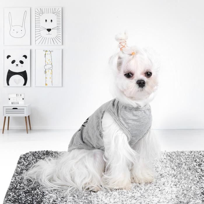 Chemise Pour Chat Chien Vêtements Dété Tee Shirt Pour Animaux De Compagnie Costume Tee Shirt En Coton Imprimé Gris S