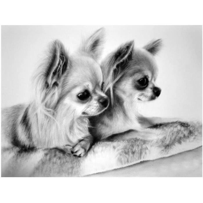 GOLDFI DIY 5D Diamond Painting Kits - Chien Dalmatien