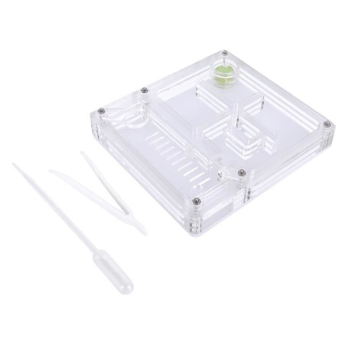 Boîte d'élevage de fourmis, nid d'élevage de fourmis en acrylique transparent, jouet éducatif pour fourmi pour animal de