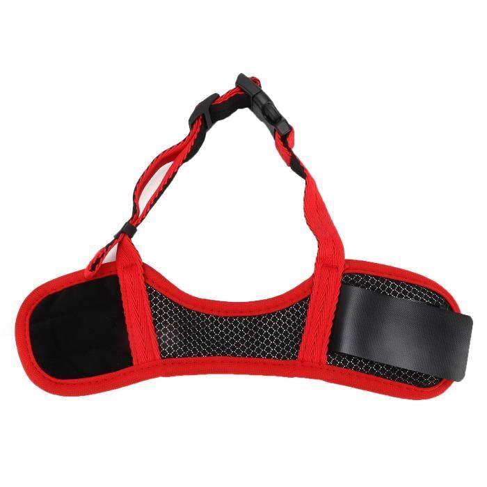 Muselière Pour Chien En TPE – Confortable, Respirante, Anti-morsure – 6 Tailles, Ajustable – Pour Promenade, Dressage, Visites Vétérinaires - 4