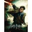 Puzzle Harry Potter 100 pièces XXL - Le monde fantastique d’Harry Potter - Ravensburger-1