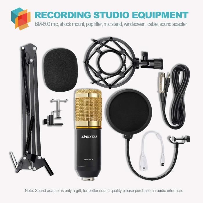 Microphone à Condensateur Kit, BM-800 Micro Studio Streaming Professionnel  avec Suspension Bras pour PC,Gamer,ur(Argent) - Cdiscount TV Son  Photo