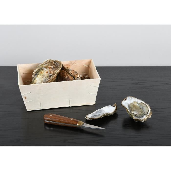 LA BONNE GRAINE - Lancette à huîtres avec manche en bois - Couteau Ouvre  Huîtres - Pratique et Résistante - Lame en inox - Marque - Cdiscount Maison