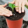 150 Pièces 10CM - Pot De Germination - Pots de Fleurs Pot semis en Plastique - Interieur Pot Plastique Plante - Convient aux semis-3