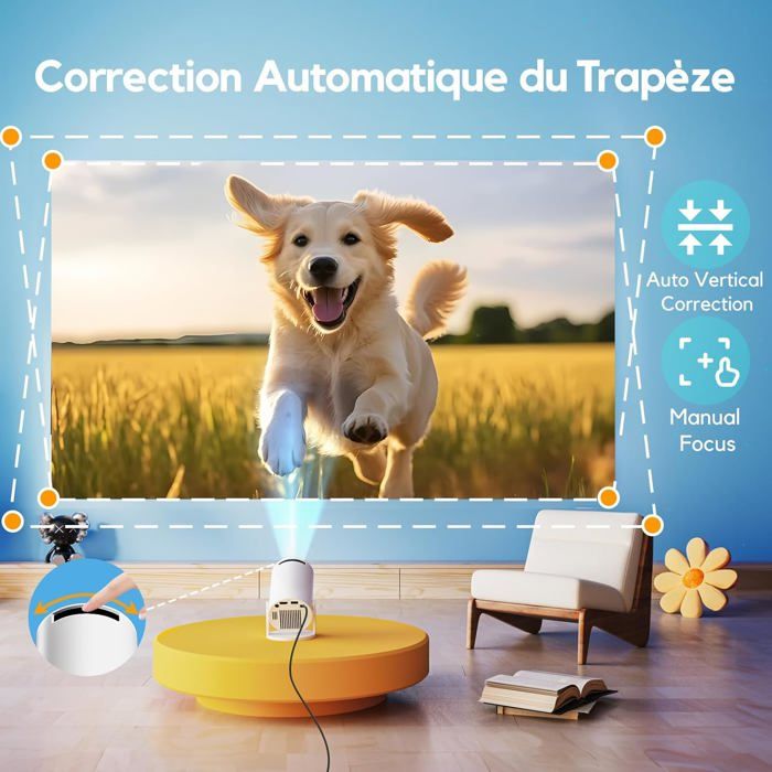 Peinture Pour Projecteur Smart Projector Paint Pro - Kit 4.5 M² + Apprêt Blanc 6 M², Pour écran Mural 4K